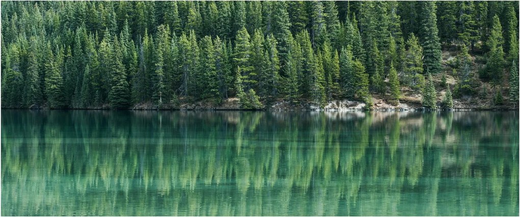 Tablou - Coniferi lângă lac (120x50 cm)