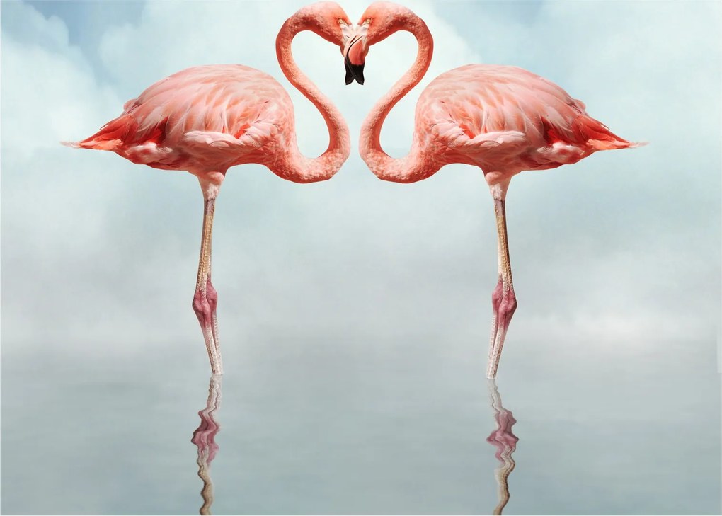 Tablou pe sticlă cu doi flamingo (70x50 cm)
