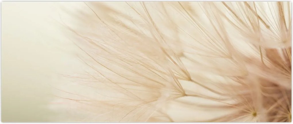 Tablou - Detaliu flori (120x50 cm)