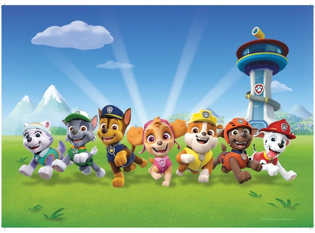 Suport farfurie pentru copii Paw Patrol, 42 x 30 cm