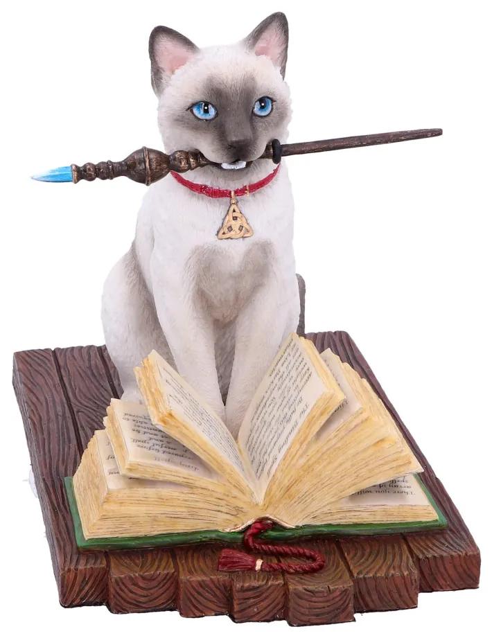 Statueta pisicuta magica Hocus Pocus 17 cm - Lisa Parker