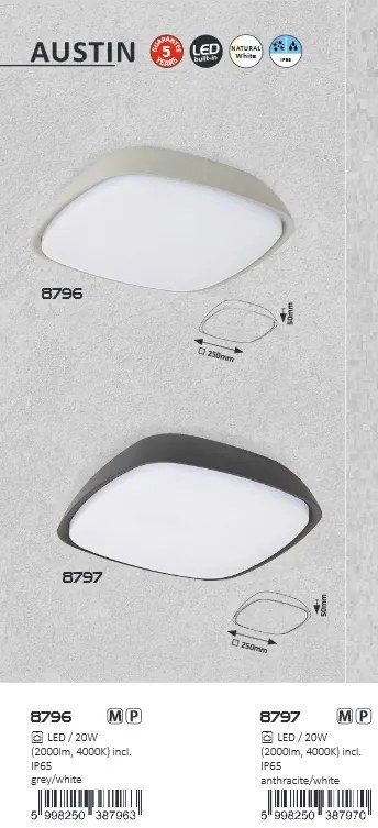 Aplica / Plafoniera pentru iluminat exterior IP65, Austin antracit 8797 RX