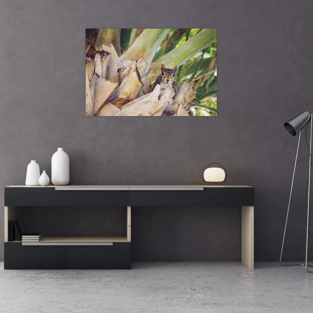 Tablou cu veverița în copaci (90x60 cm)