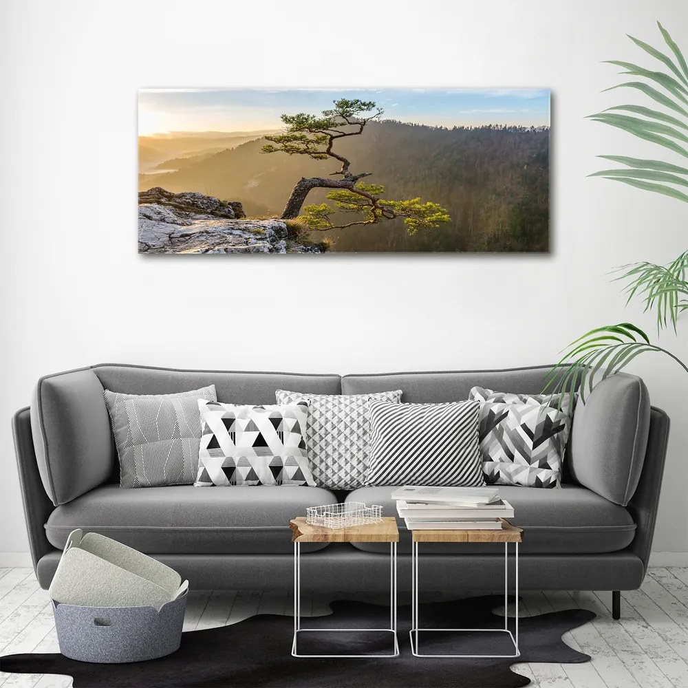 Tablou pe pânză canvas Pieniny sokolica