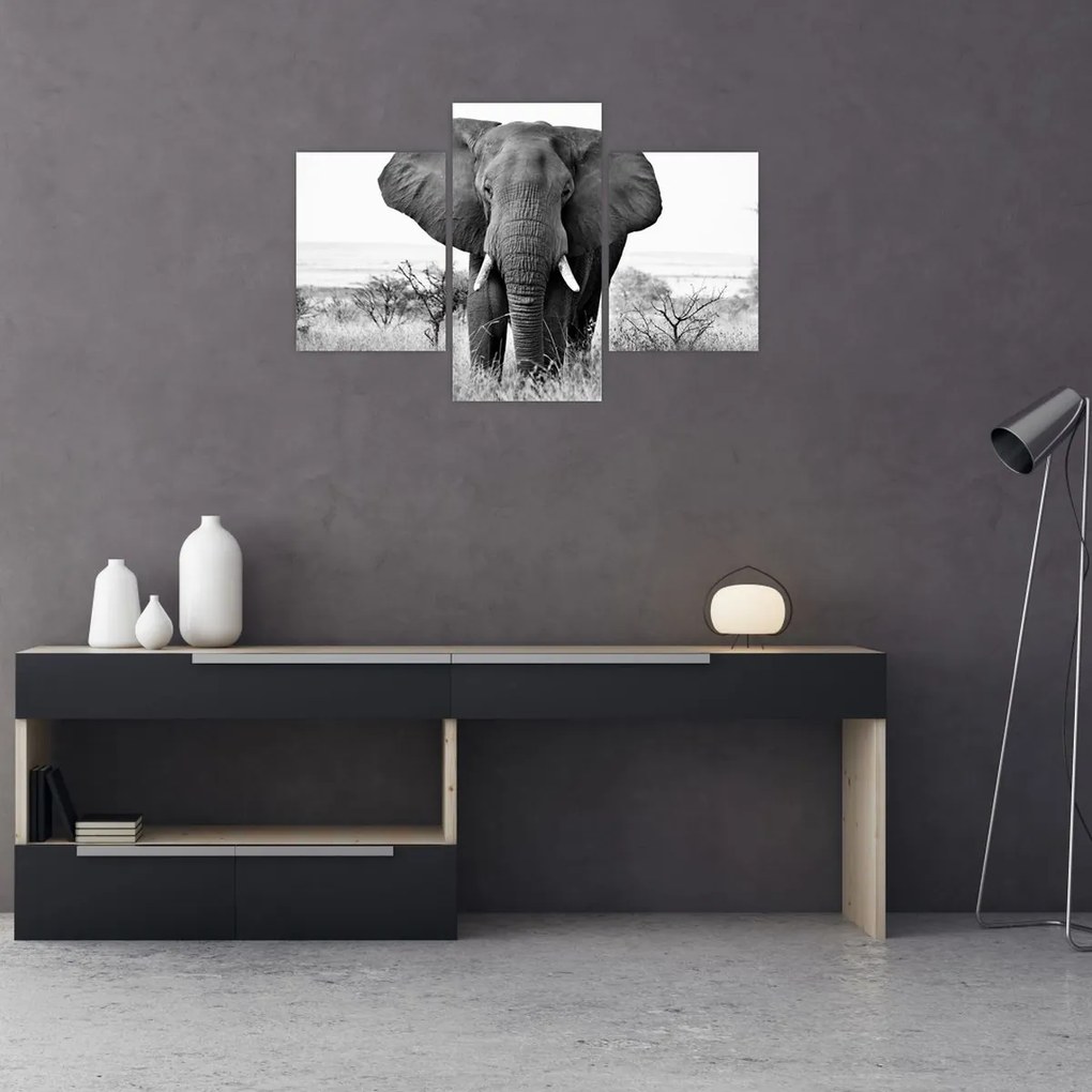 Tablou - Elefantul african II. (90x60 cm)