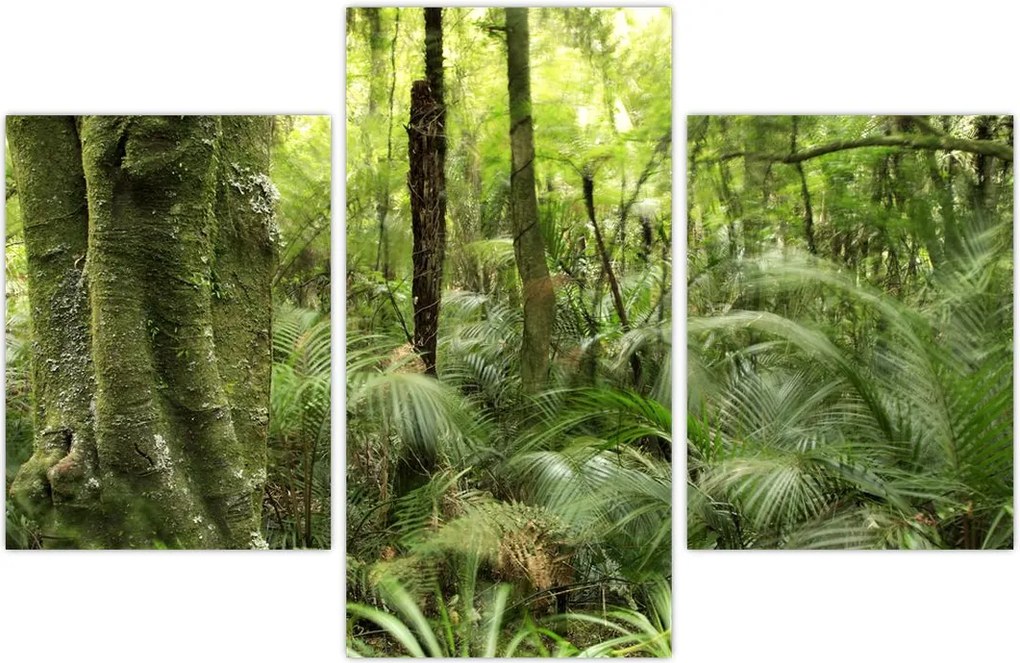 Tablou - Pădure tropicală (90x60 cm)