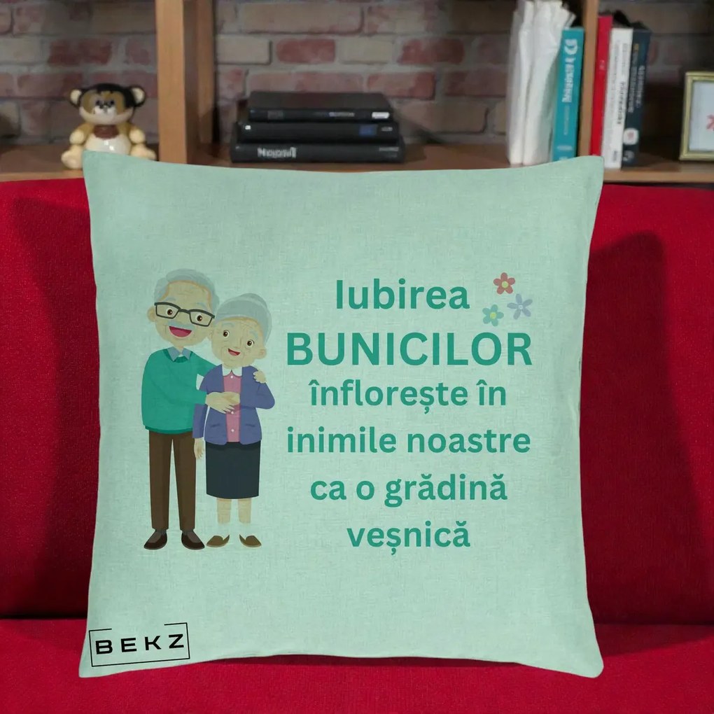 Cadou pentru Bunici - Perna Personalizata Bunicii Iubirea Infloreste Cuplu Senior Teal, 40x40 cm, Verde Menta, Husa Detasabila, Perna Inclusa, BEKZ®