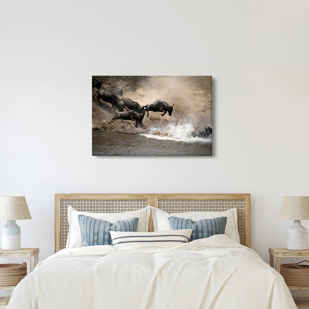 Tablou - Turmă de gnu (90x60 cm)