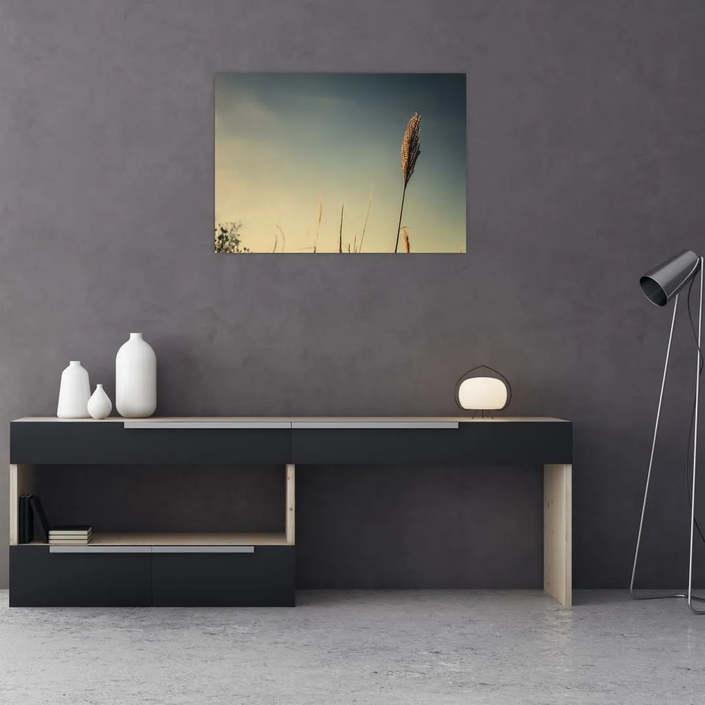 Tablou - Iarba (70x50 cm)