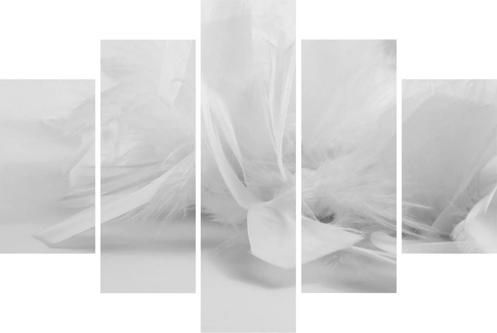 Tablou - Pene (150x105 cm)