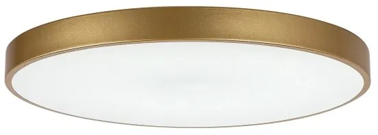 Rabalux 71038 -LED Plafonieră LED dimabilă TESIA LED/60W/230V 3000-6000K+telecomandă