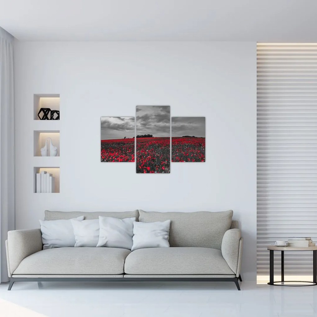 Tablou cu maci (90x60 cm)
