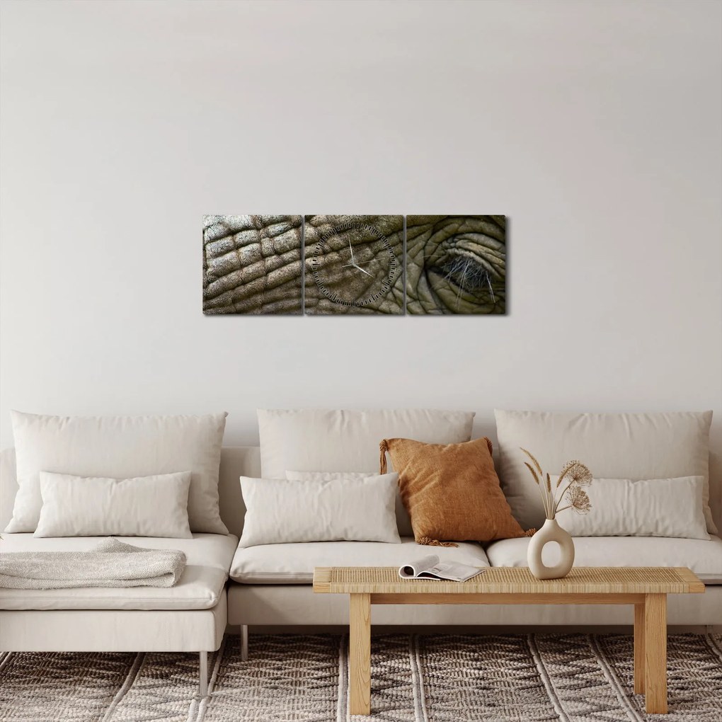 Tablou - Prim-planul ochiului de elefant vechi (cu ceas) (90x30 cm)