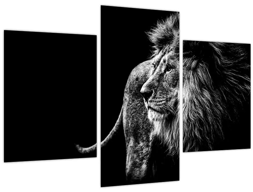 Tablou - Leu (90x60 cm)