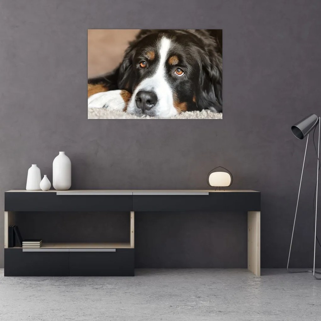 Tablou cu câine (90x60 cm)