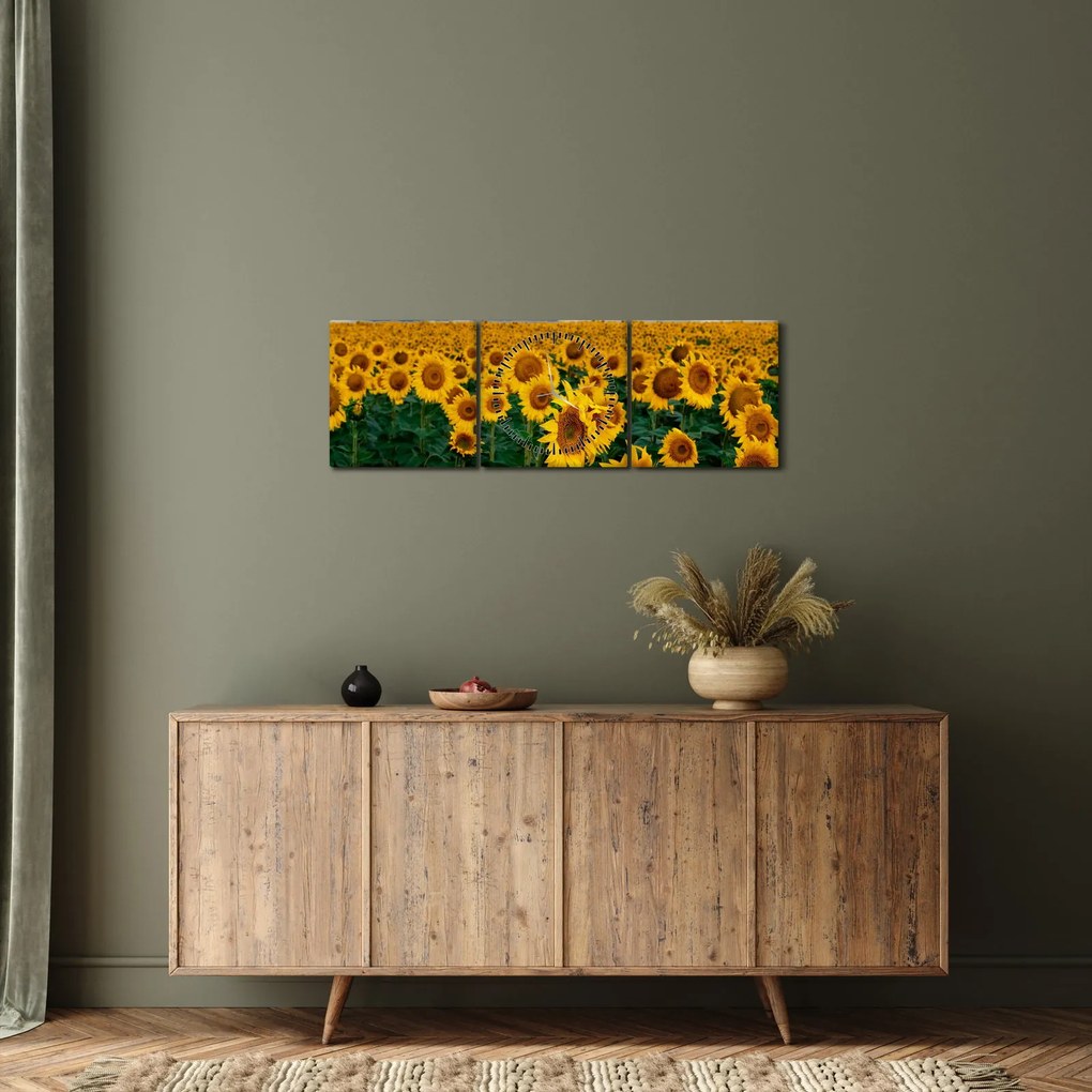 Tablou câmpului de floarea soarelui (cu ceas) (90x30 cm)