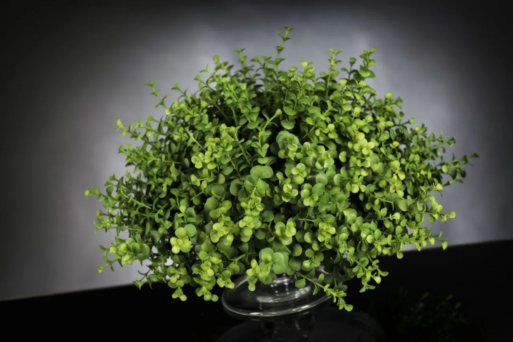 Aranjament floral mic decor festiv design LUX, ALZATA EUCALYPTUS 1141967.60