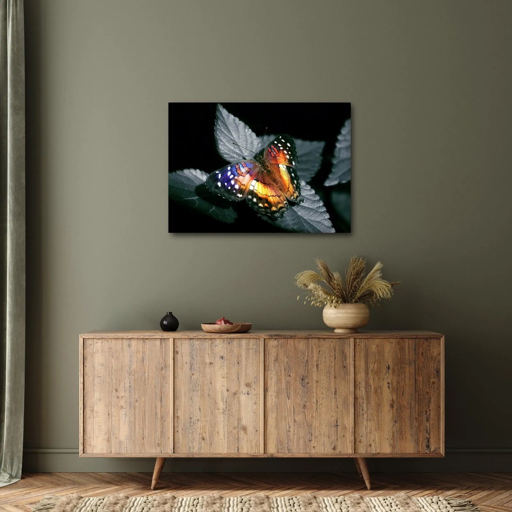 Tablou cu fluture (70x50 cm)