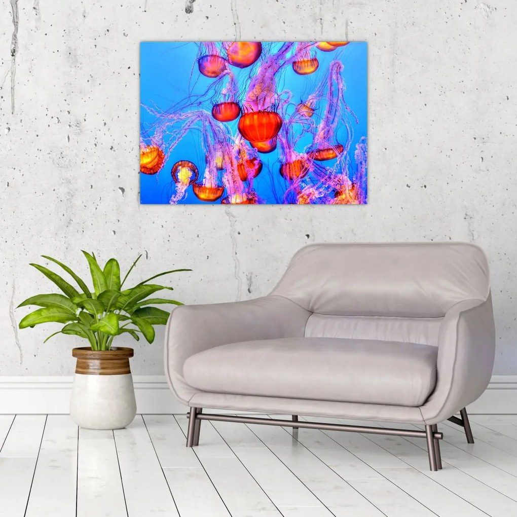 Tablou cu meduse în mare (70x50 cm)