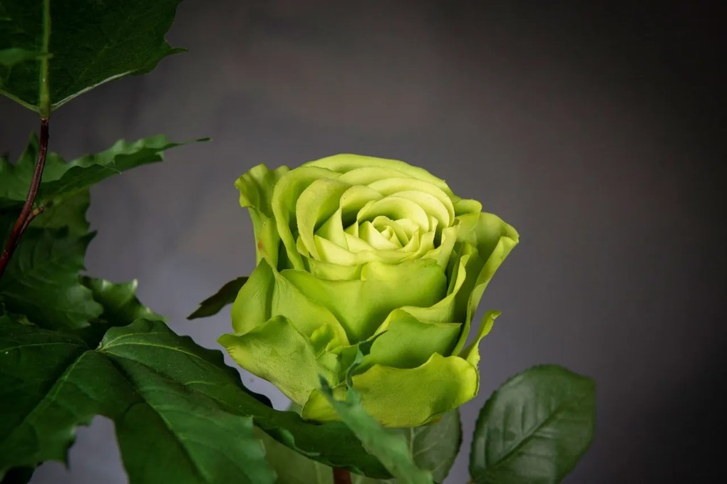 Aranjament floral mediu design LUX CANADIAN ROSES