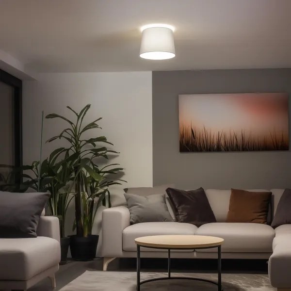 Brilagi - Lustră aplicată LED CERIA 1xE27/40W/230V Ø 30 cm, gri