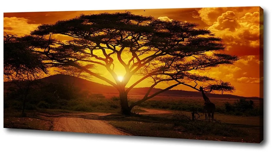 Tablou pe pânză Africa de vest