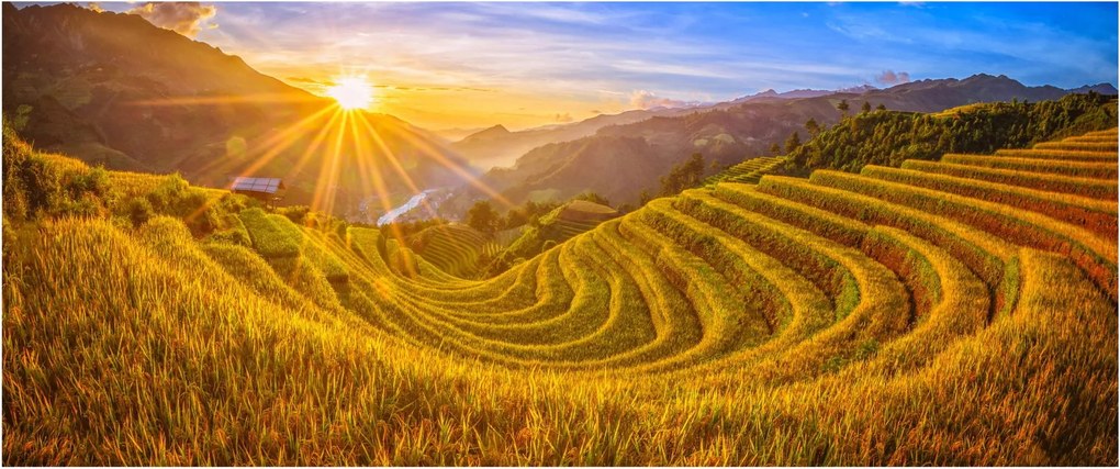 Tablou - Terasele de orez din Vietnam (120x50 cm)