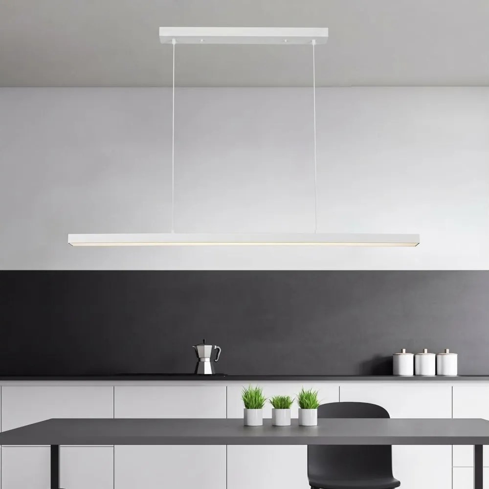Brilagi - Lustru LED suspendat pe cablu PPAXIS LED/30W/230V 120 cm alb