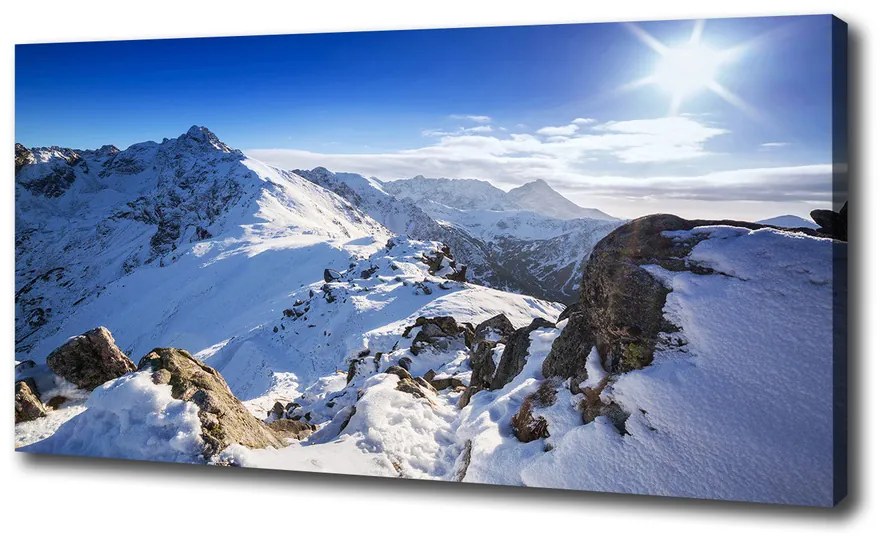 Tablou pe pânză Summit-ul tatra