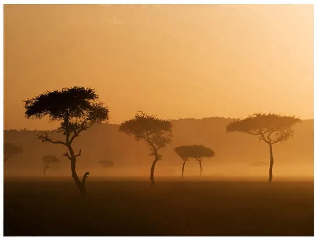 Fototapet - Massai Mara