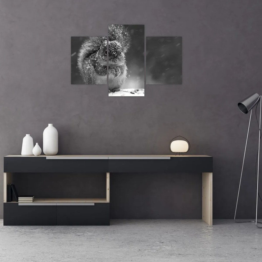Tablou - Veveriță în timpul iernii (90x60 cm)