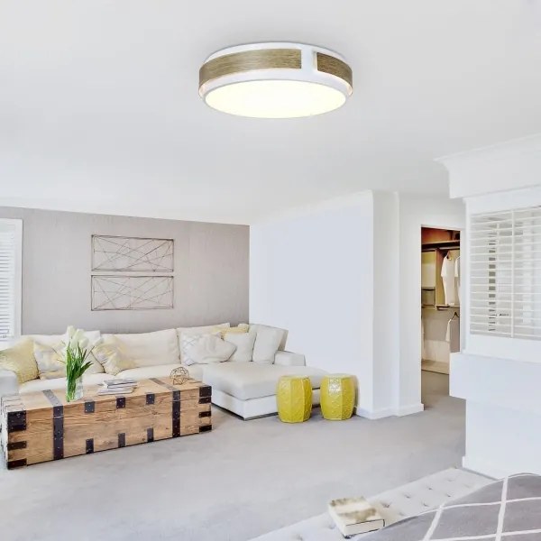 Rabalux 5646 - Plafonieră LED SALMA reglabilă, 24W, 230V