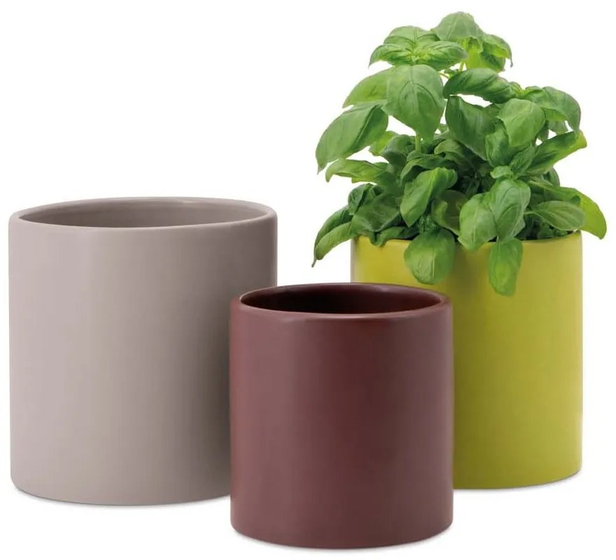 Ghivece din porțelan pentru ierburi aromatice 3 buc. Siena - Remember