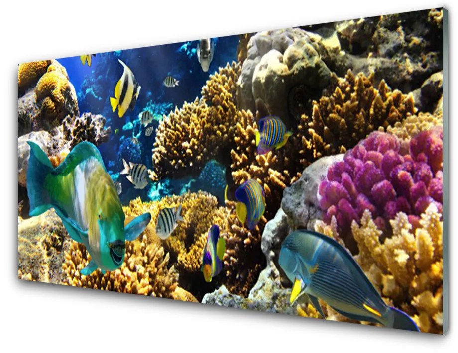 Tablou pe sticla Coral Reef Natura Multi