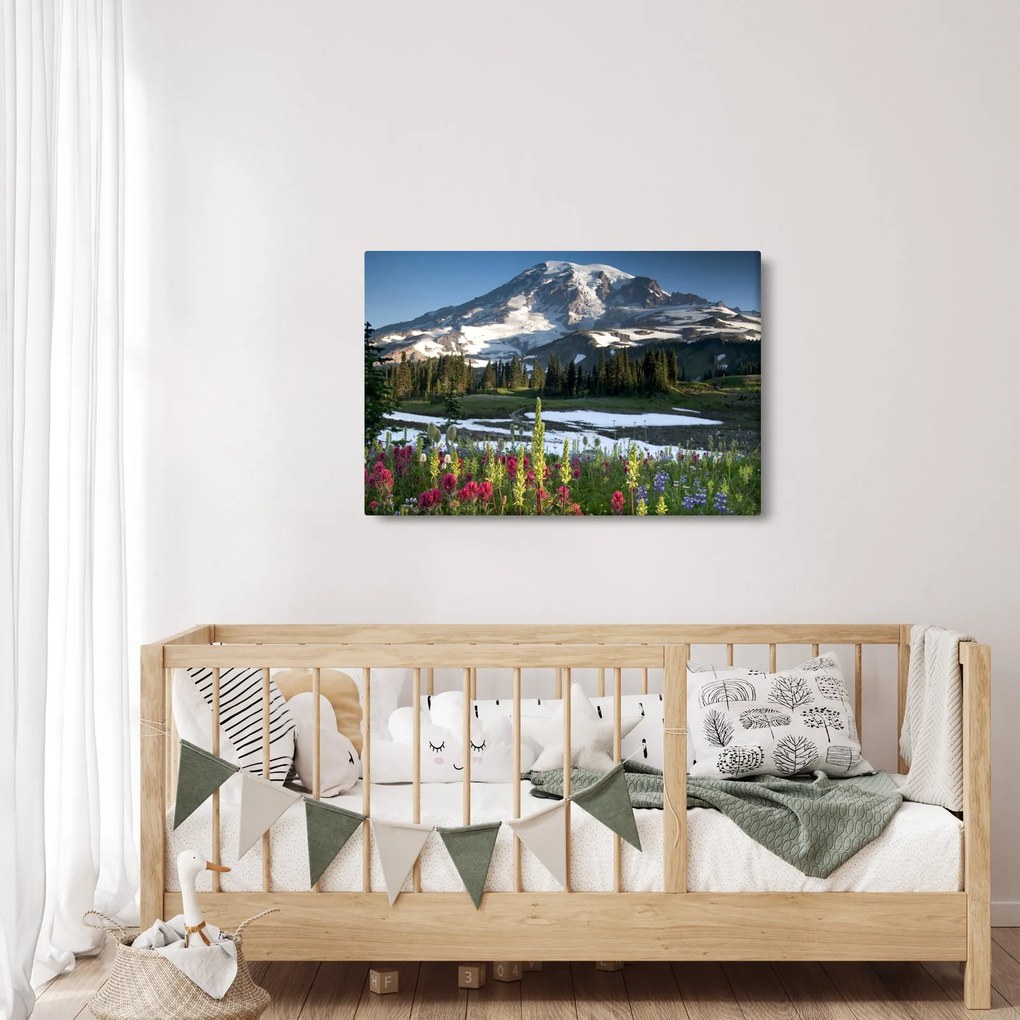 Tablou - Muntele Rainier (90x60 cm)