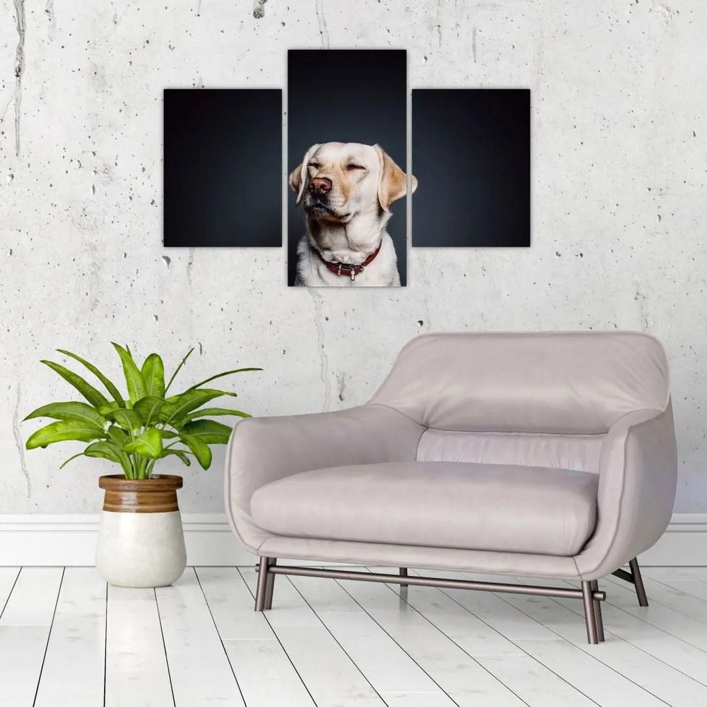 Tablou cu labrador (90x60 cm)