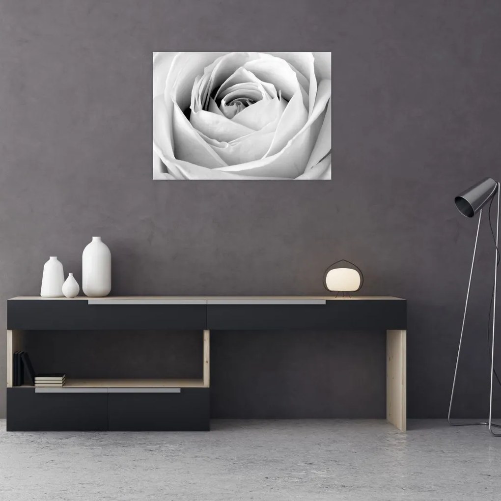 Tablou pe sticlă - Detailu de floare de trandafir (70x50 cm)
