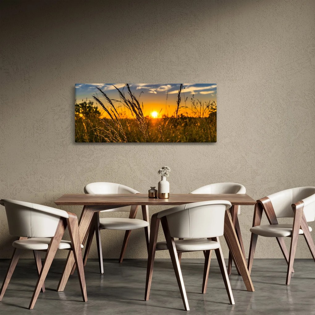 Tablou cu câmp în apus de soare (120x50 cm)