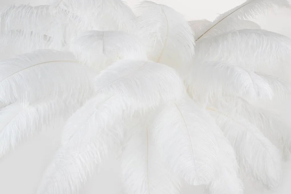 Lampa de podea design spectaculos cu pene de strut Palmier