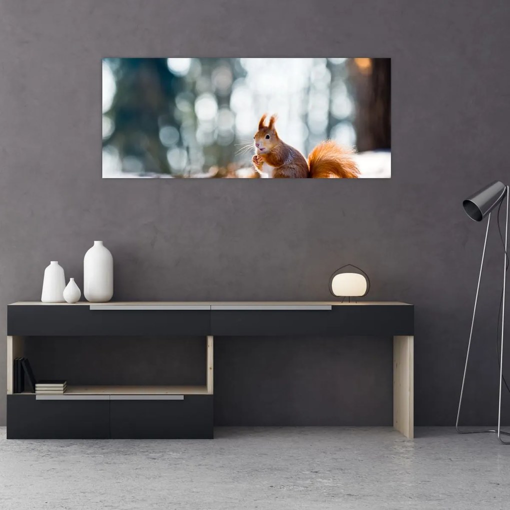 Tablou - Veveriță (120x50 cm)