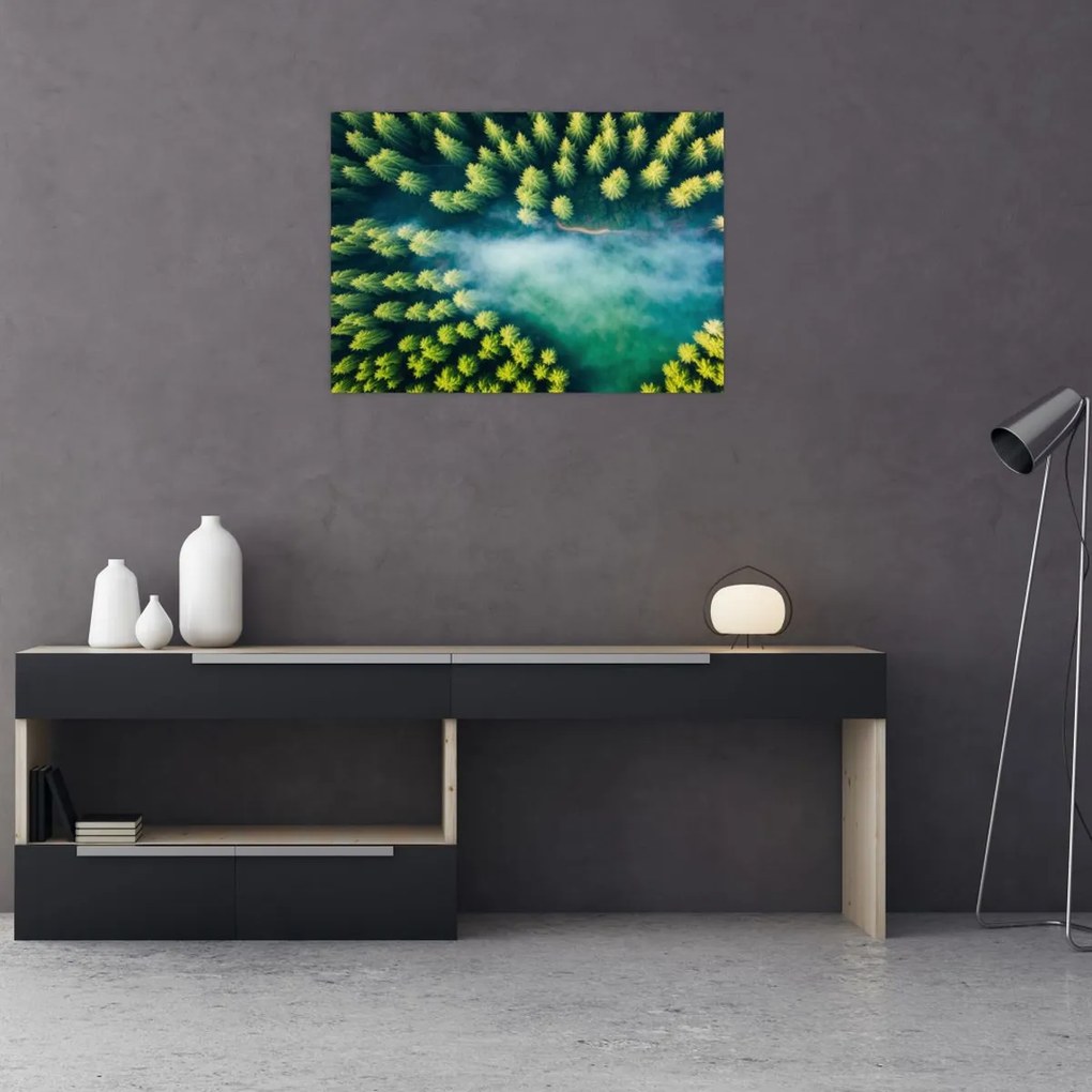 Tablou - O pădure învăluită în ceață (70x50 cm)