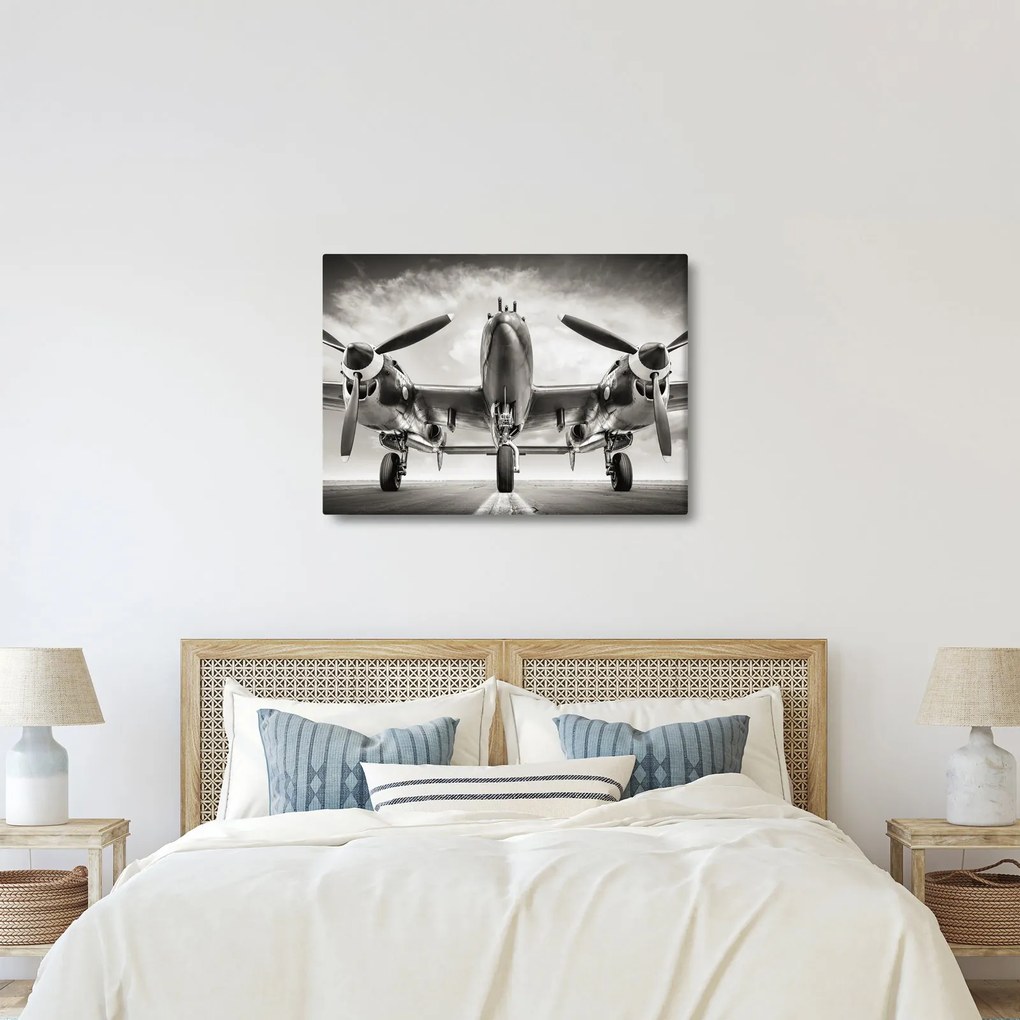 Tablou - Warbird (70x50 cm)