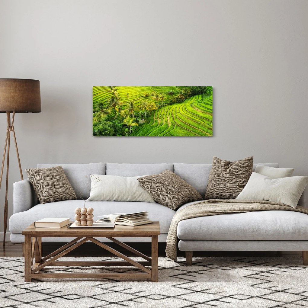 Tablou - Terase de orez (120x50 cm)