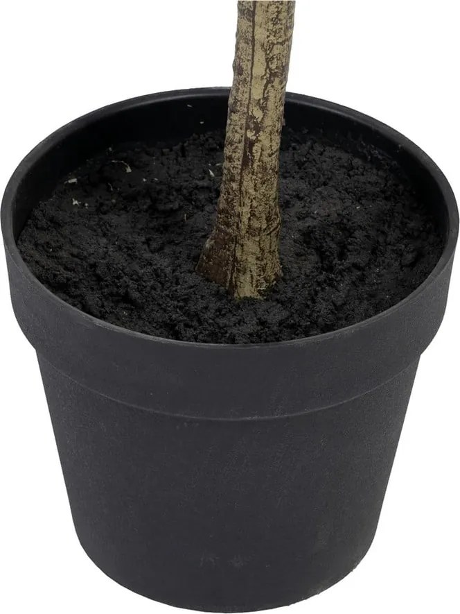 Eucalipt artificial (înălțime 180 cm) Eucalyptus – Ixia