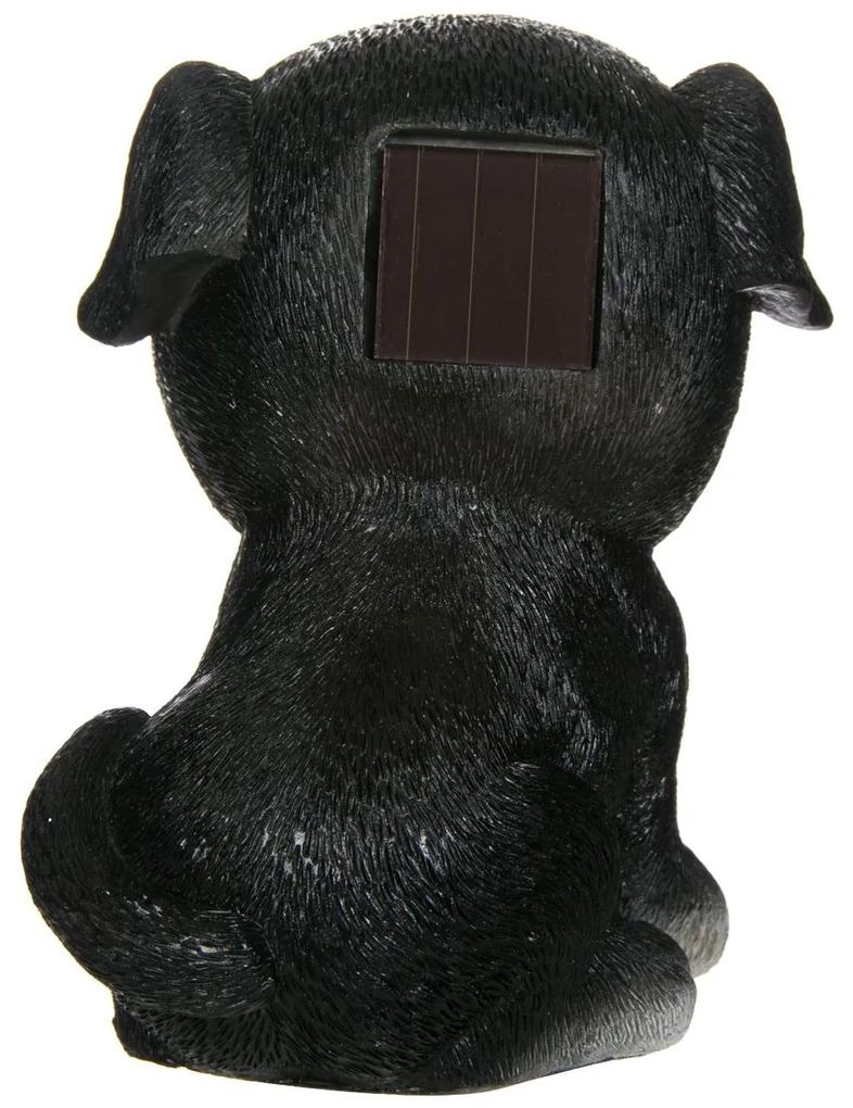 Lampa solara caine, negru,15 cm