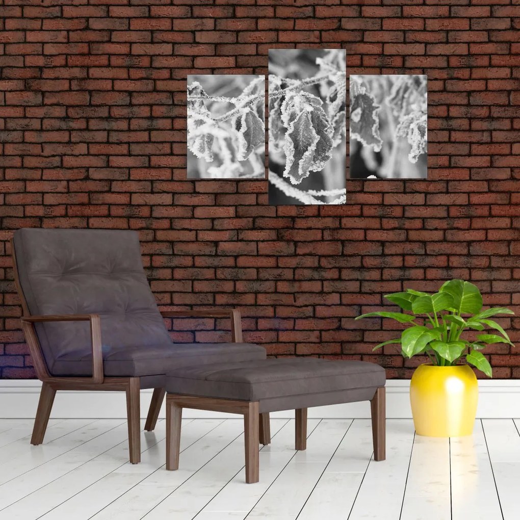 Tablou - Frunze înghețate,alb-negru (90x60 cm)