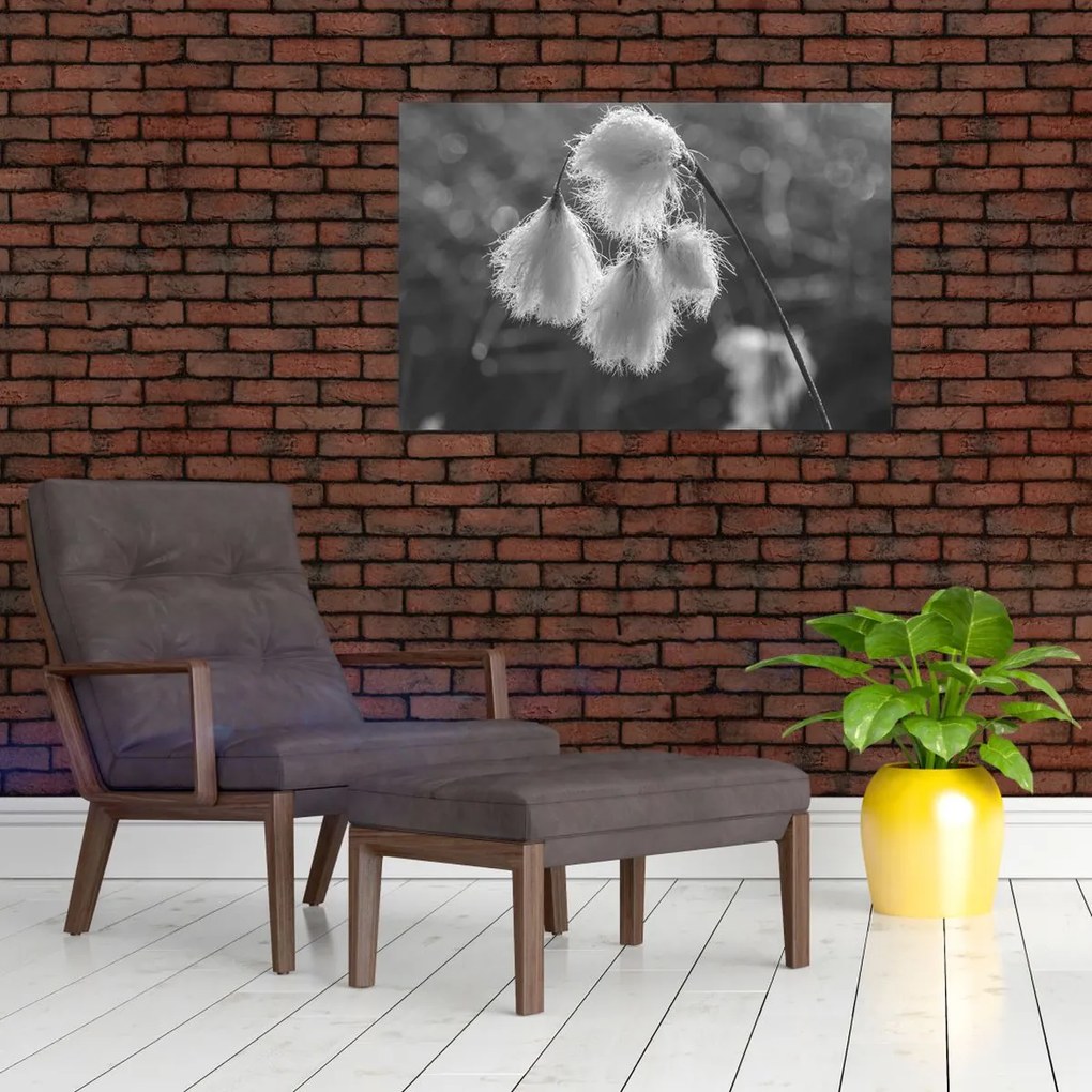 Tablou - Iarba de bumbac (90x60 cm)