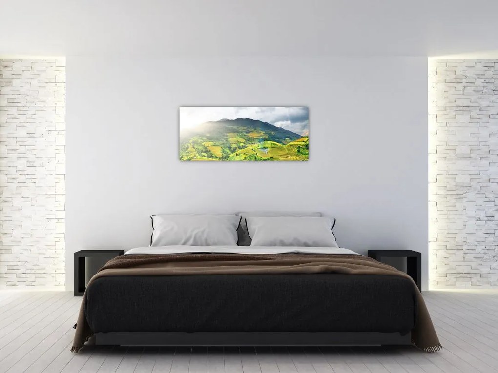 Tablou plantație (120x50 cm)
