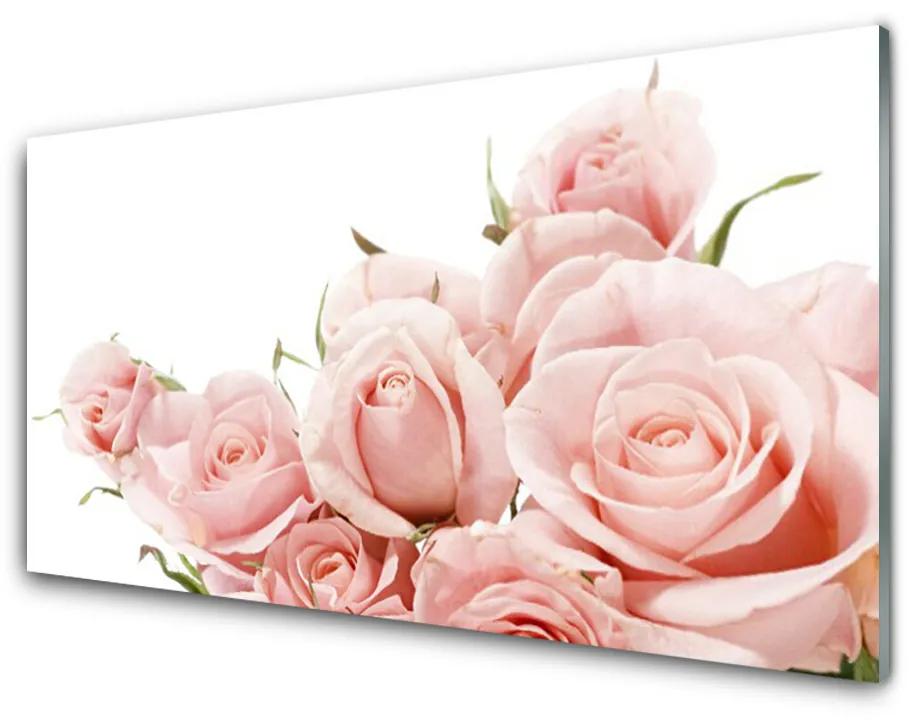 Tablouri acrilice Trandafiri Floral Bej Alb