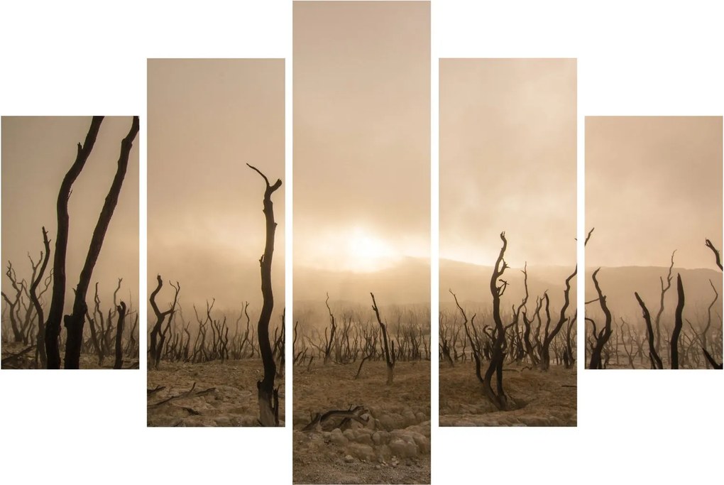 Tablou - Copaci goi (150x105 cm)
